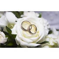 Officiant On Demand logo - Similar company to Evermore Officiant Services