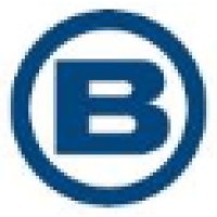 Blue Financial Services logo - Similar company to Flash Digital