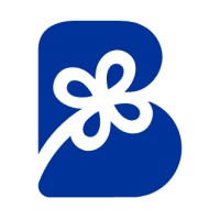 Boxitas