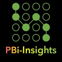 PBI-Insights logo - Similar company to Tdata