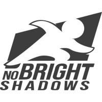 No Bright Shadows logo - Similar company to Apto Connect