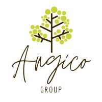 Angico Group logo - Similar company to Solis Mudas