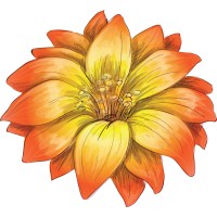 Cactus Blossom Travel logo - Similar company to Trailzi