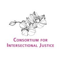 Consortium for Intersectional Justice logo - Similar company to Tiger Iron
