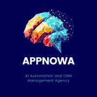 Appnowa - Business Automation logo - Similar company to 100% Security Labs