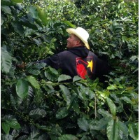 Dynamite Roasting Co. logo - Similar company to Buckstop - The Urban Mining Company