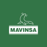 MAVINSA logo - Similar company to Nplust