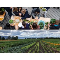 Agroecology, NMBU logo - Similar company to Sentraldistribusjon As