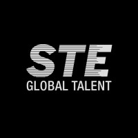 STE Global Talent logo - Similar company to Bkms Group