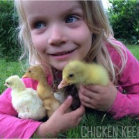 Drumanilra Organic Farm and Farm Kitchens