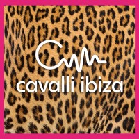 CAVALLI IBIZA logo - Similar company to Isk - Institut Für Systemische Kompetenz