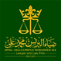 DIAA ELPRINCE MOHAMMED ALY logo - Similar company to Ahmed Ali