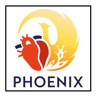 PHOENIX EU Project logo - Similar company to Medmarketdata