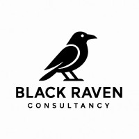 Black Raven Consulting logo - Similar company to Mnrls