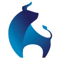 IBEF Academy logo - Similar company to Chinelaria