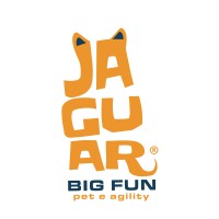 Jaguar Big Fun logo - Similar company to Kappen Dressers
