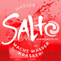 Salto GmbH logo - Similar company to Beautyhacker