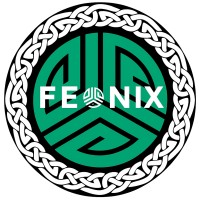 Feonix IT Solutions logo - Similar company to Redbeard Solutions