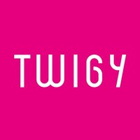 TWIGY logo - Similar company to Twigyy