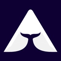 BeAWhale logo - Similar company to Probe Solutions