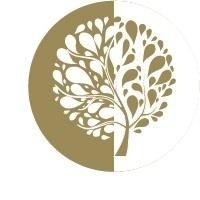 Olive Garden.SA logo - Similar company to شركة أسس الضيافة الغذائية