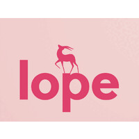 Lope LLC logo - Similar company to Scholarboost