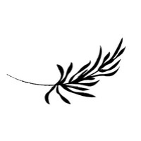 Livespree.co logo - Similar company to Soulixer