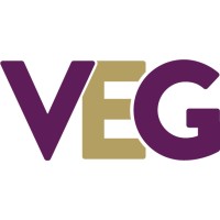 Vine Entertainment Group logo - Similar company to Kelele Digital