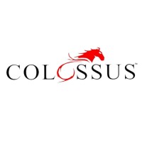Colossus Trade Links Limited logo - Similar company to Netcorp Software Development