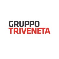Gruppo Triveneta Srl logo - Similar company to Edil System Srl