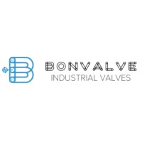 Bonvalve Srl logo - Similar company to Novo Srl