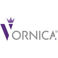 VORNICA logo - Similar company to The Ceo Elevation Circle