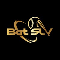 Bat SLV logo - Similar company to Rico