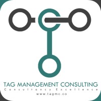 TAG Management Consulting logo - Similar company to Tagg Agency