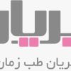 Parian Teb Zaman Co., Ltd. logo - Similar company to Joy Elisa Web & Data Solutions