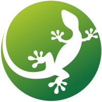 Transfer Gecko