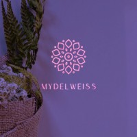 MYDELWEISS logo - Similar company to Evolve & Adapt