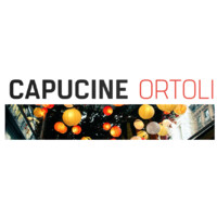 CapucineOrtoli.com