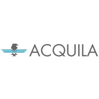 Acquila Business Consulting LLP logo - Similar company to Acquila
