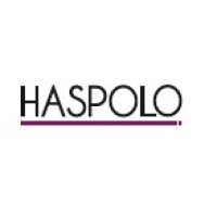 HASPOLO logo - Similar company to Tdm Creation