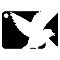 HypeBird Media logo - Similar company to Brackets Infinity Pvt.Ltd.