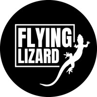 Flying Lizard logo - Similar company to Flying Lizard Group