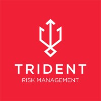Trident Risk Management logo - Similar company to Trident Infra Solutions (P) Ltd.