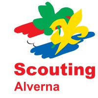 Scouting Alverna logo - Similar company to Semper Florens