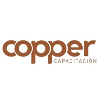 Copper Capacitación Ltda. logo - Similar company to Copper Mineral