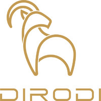 DiroDi logo - Similar company to Melbourne Powered
