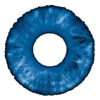 TheVoroscope logo - Similar company to Moonxcribe