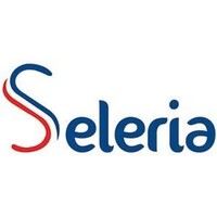 Seleria logo - Similar company to Dm Solutions