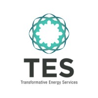 TES logo - Similar company to Deomar Engineering Services