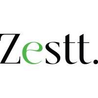 Zestt Consulting logo - Similar company to Tnt Group